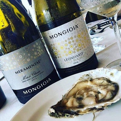 Les Vins de Mongioia 